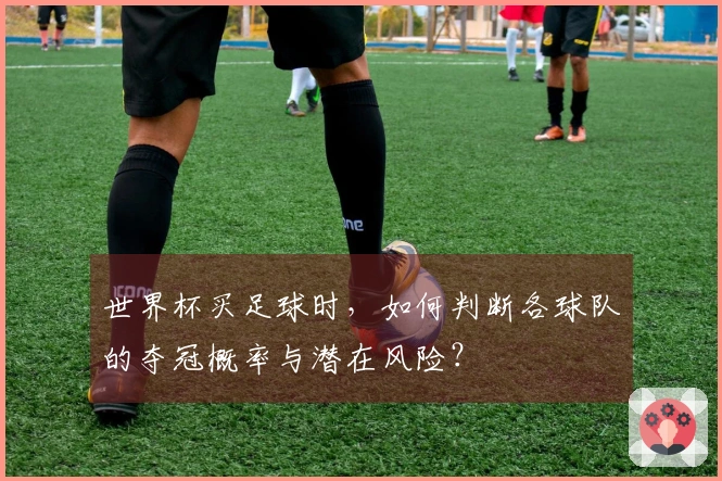 世界杯买足球时，如何判断各球队的夺冠概率与潜在风险？