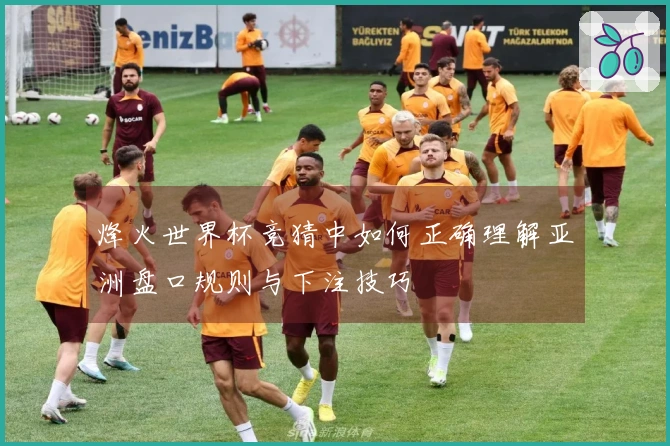 烽火世界杯竞猜中如何正确理解亚洲盘口规则与下注技巧