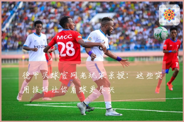 德甲买球官网老玩家亲授：这些实用技巧让你看球更尽兴