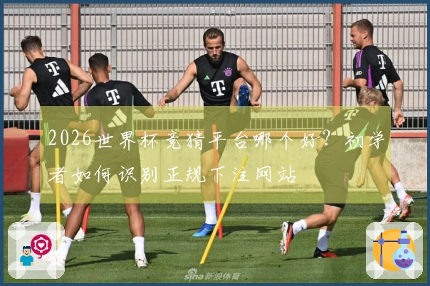 2026世界杯竞猜平台哪个好？初学者如何识别正规下注网站